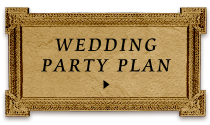 WEDDING PARTY PLAN