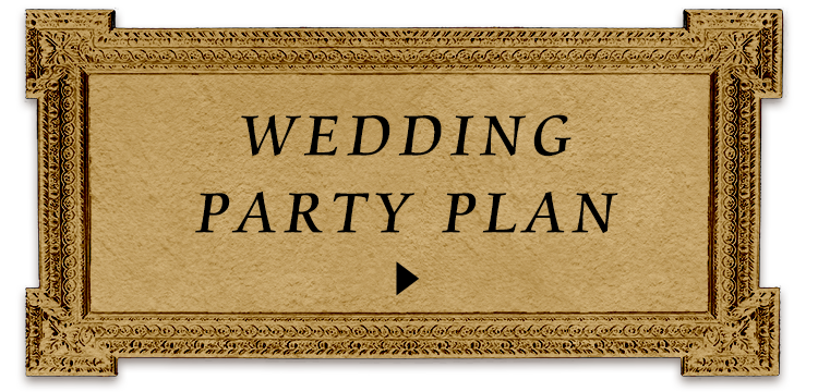 WEDDING PARTY PLAN